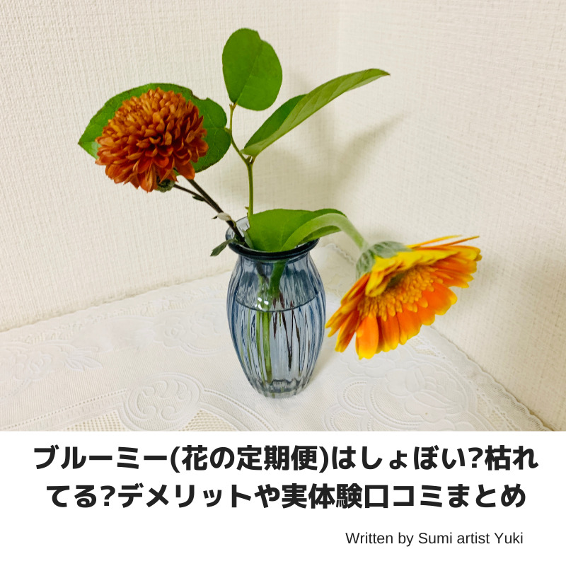 ブルーミー 花の定期便 はしょぼい 枯れてる デメリットや実体験口コミまとめ 花の定期便 おすすめのサブスクを徹底比較 口コミから値段まで