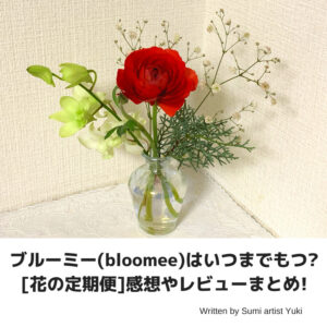 ブルーミー Bloomee はいつまでもつ 花の定期便 感想やレビューまとめ 芸術系女子ライバー ブロガー Sumi Artist Yuki のブログ